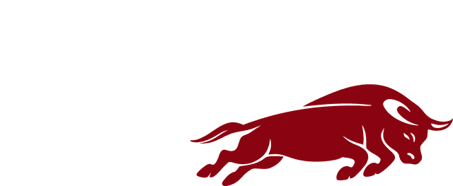 Brasa Transportes
